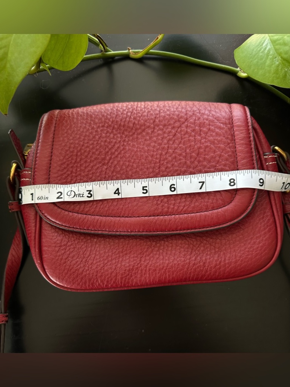 J. Crew Lock & Key Crossbody - Picture 12 of 13